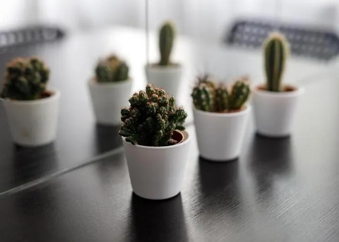 Golden - One Bedroom - Rynek Square&widok