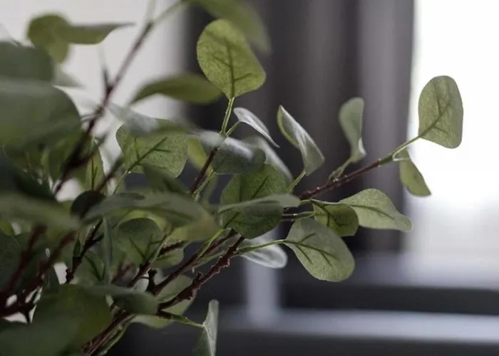 아파트 Golden - One Bedroom - Rynek Square&widok *